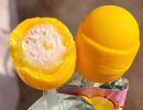 Lollipop Gum - EP005